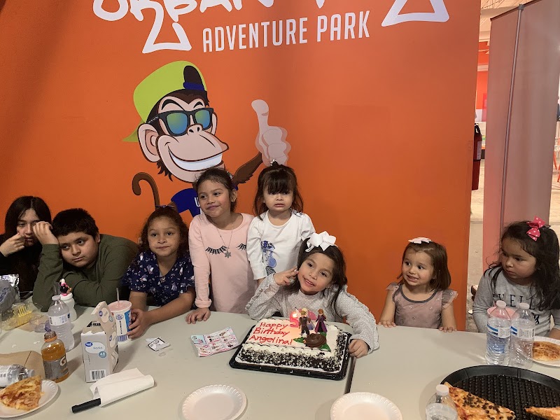 Urban Air Trampoline and Adventure Park - Photo 10