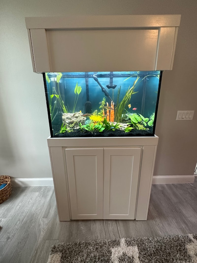 Valencia aquarium maintenance