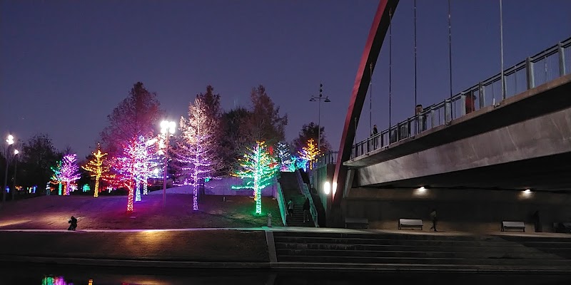 Vitruvian Park - Photo 10
