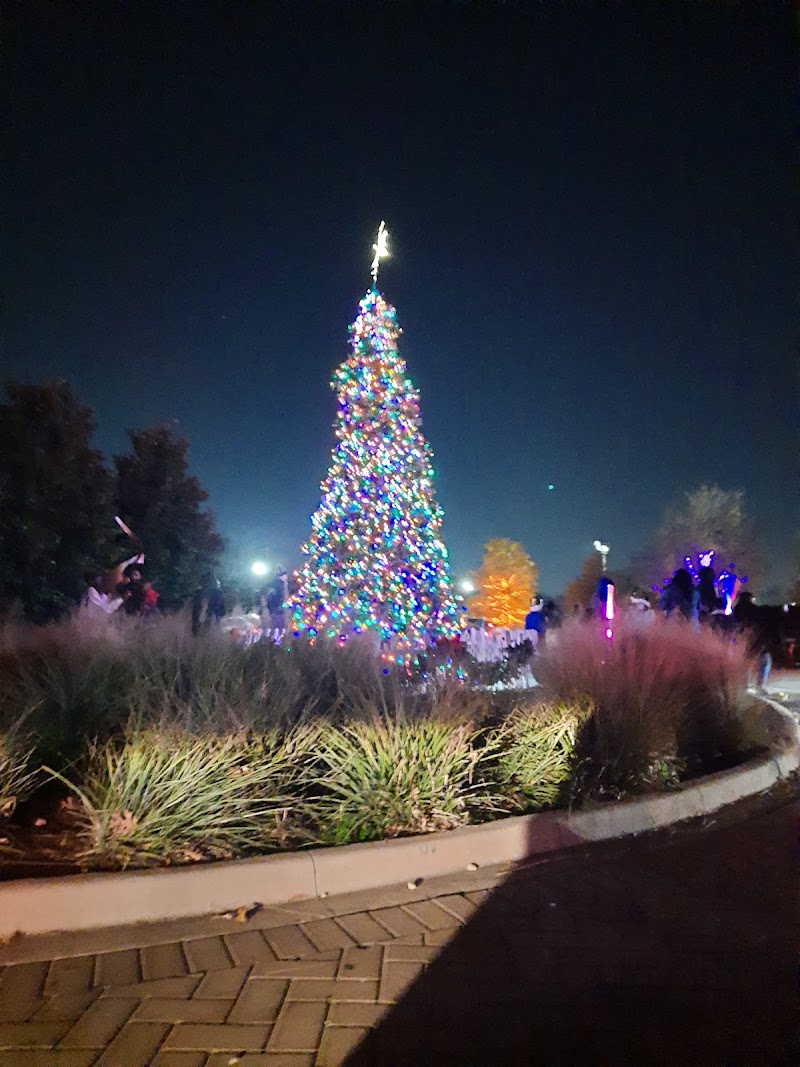 Vitruvian Park - Photo 2