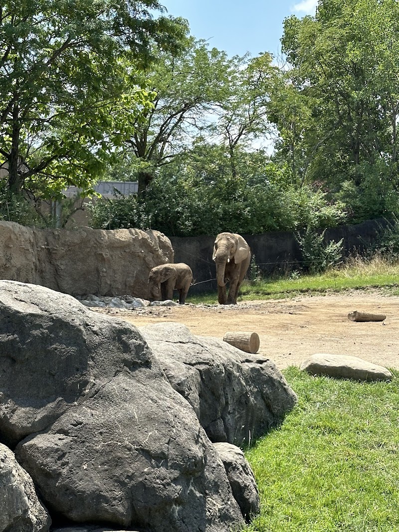 Warthog and Porcupine exhibit