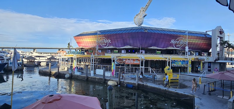 Water Taxi Miami