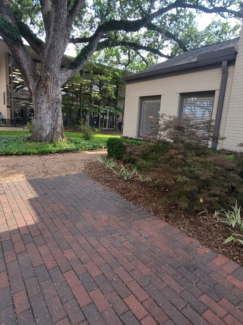 West University Branch Library - Photo 5