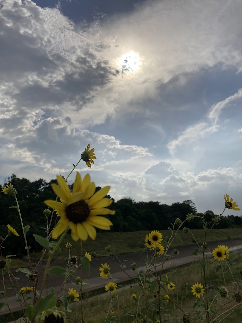 White Oak Bayou Greenway - Photo 6