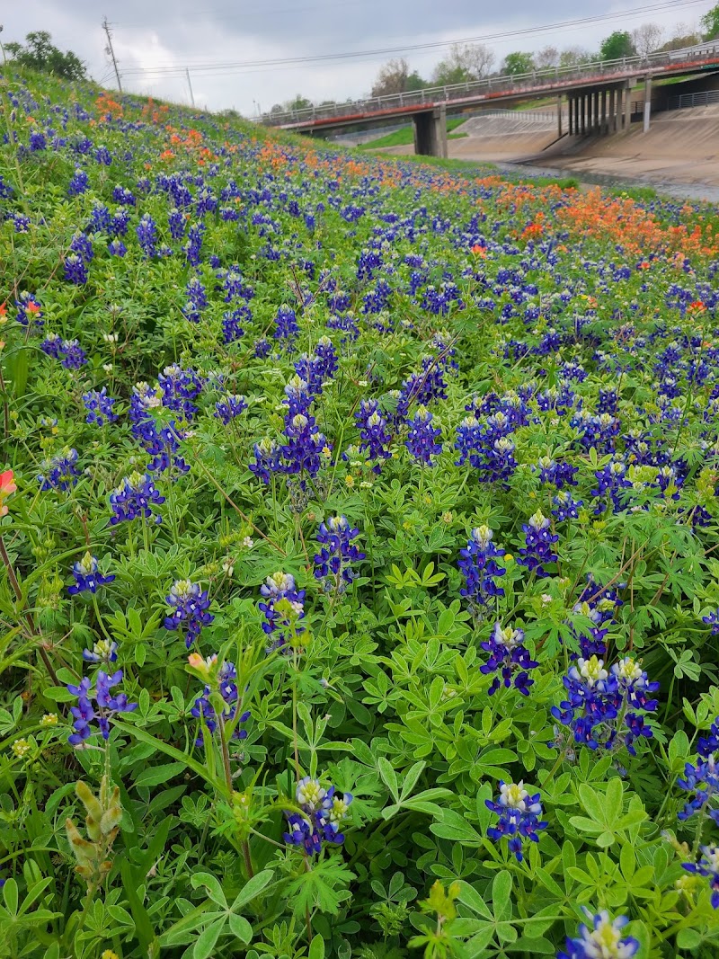 White Oak Bayou Greenway - Photo 7