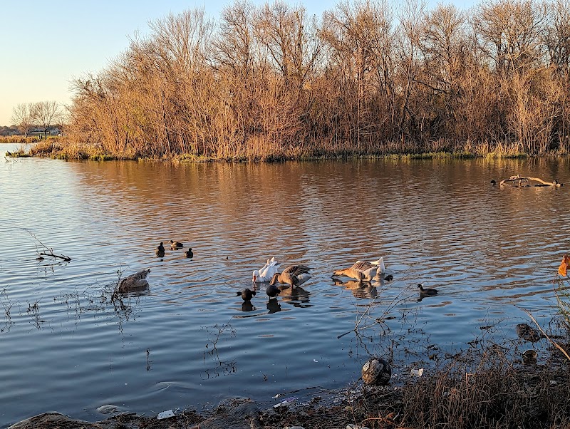 White Rock Lake Park - Photo 7