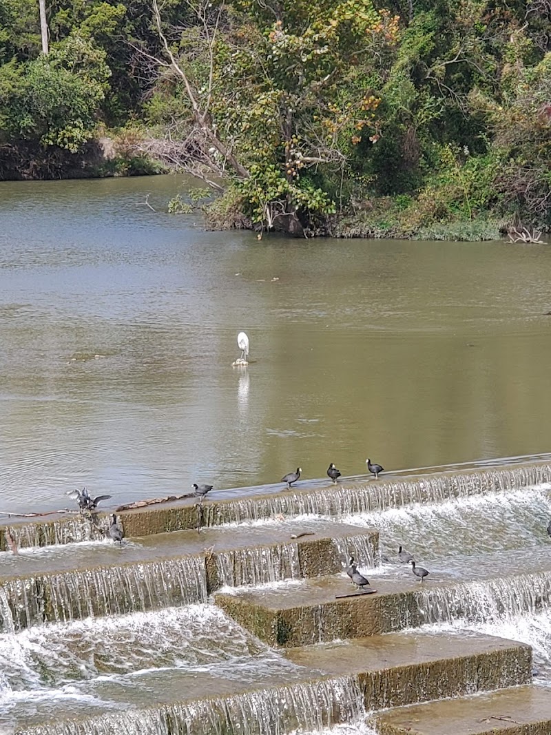 White Rock Lake Park - Photo 8