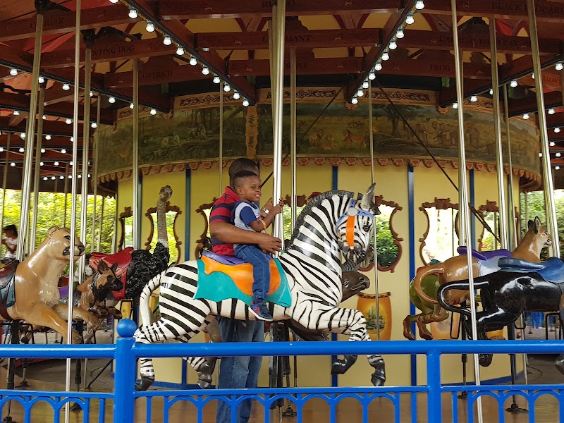 Wildlife Carousel