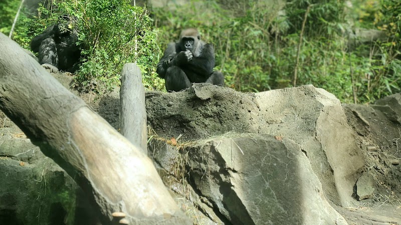 Wildlife Conservation Society, Research Fellowship Program