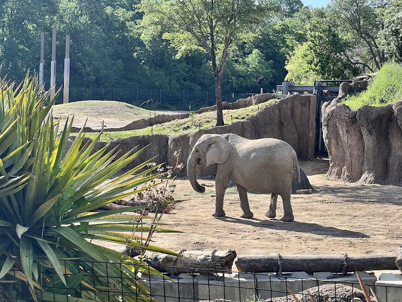 Wilds of Africa