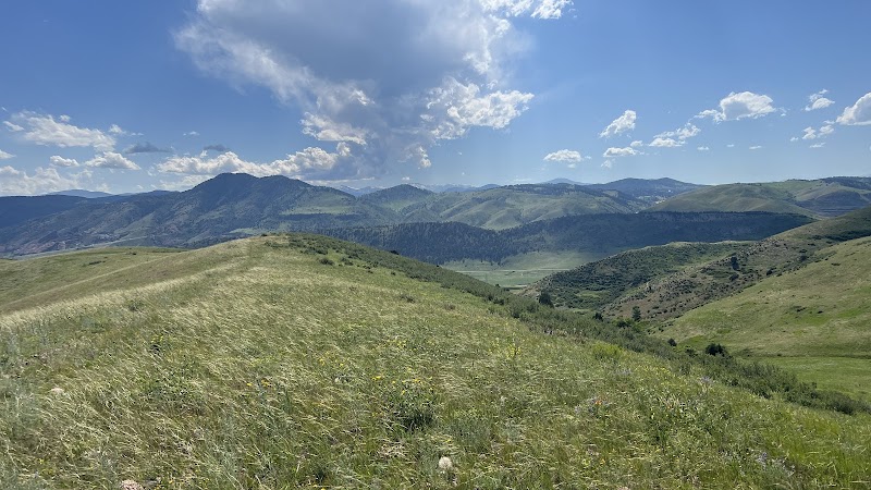 William Frederick Hayden Park