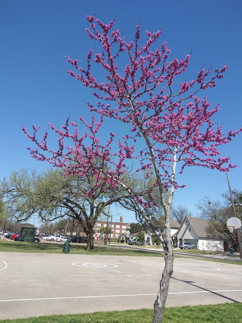 Willis C. Winters Park - Photo 7