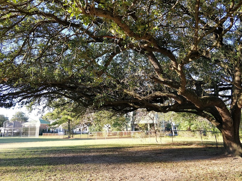 Woodland Park - Photo 9