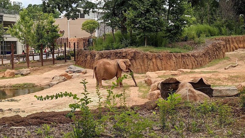 Zoo Atlanta Member Services Office