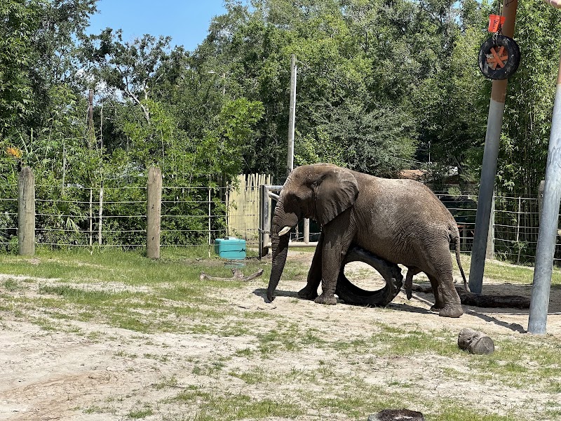 ZooTampa at Lowry Park
